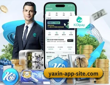 亚新 APP 深度功能